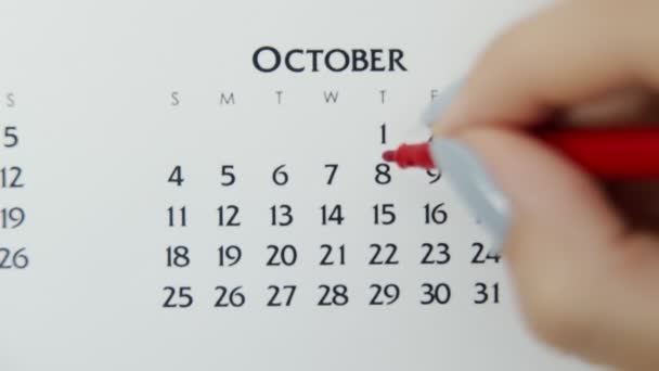 Giorno di cerchio di mano femminile in data di calendario con un marcatore rosso. Business Nozioni di base Wall Calendar Planner e organizzatore. 8 ottobre - Filmati, video