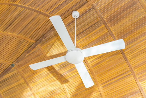 White ceiling electric fan decoration interior of room - Photo, Image