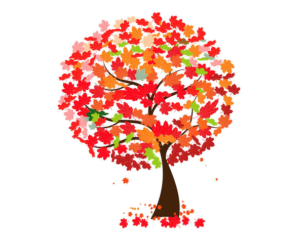 (Objekt) Große Bäume für den Herbst und bunte Blätter. - Vektor, Bild