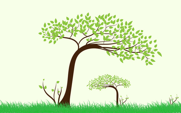 Wielkie drzewo z zielonymi liśćmi wygląda świeżo. Zielona trawa może być użyta do twojej pracy.. - Wektor, obraz