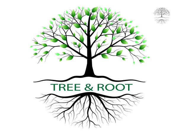 Trees with green leaves look beautiful and refreshing. Tree and roots LOGO style. - Vector, Image