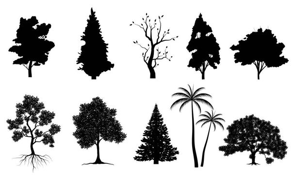 Siyah ağaç sembolü biçimi ve beyaz arkaplan koleksiyonu. İşiniz için kullanılabilir.. - Vektör, Görsel