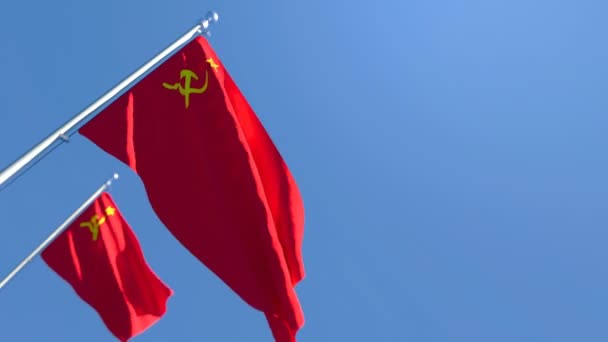 De vlag van de USSR wappert in de wind - Video