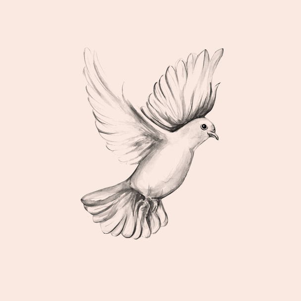 Paz pássaro, pomba, arte, desenho da cor da água - Foto, Imagem
