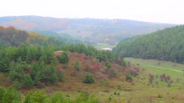 Вдалеке можно увидеть фотографию соснового леса с холма. - Кадры, видео