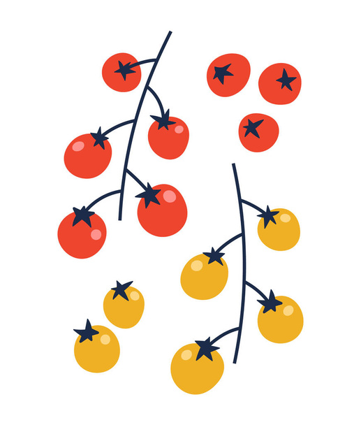Векторні ілюстрації червоних і жовтих вишневих помідорів. Набір вишневих помідорів ізольовано на білому тлі. Ілюстрація овочів. Підходить для ілюстрації здорового харчування, рецептів, місцевої ферми
. - Вектор, зображення