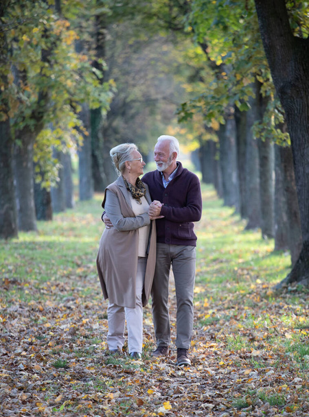 Seniorenpaar in Umarmung und Händchenhalten im Wald im Herbst - Foto, Bild