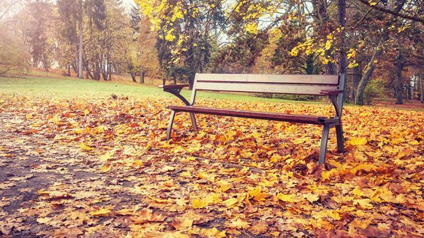 Prázdná lavička v parku na podzim, retro barvy tónovaný obraz. - Fotografie, Obrázek