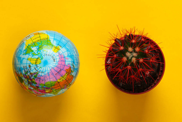 Kaktus im Topf mit Globus auf gelbem Hintergrund. Zimmerpflanze. Ansicht von oben. Minimalismus - Foto, Bild