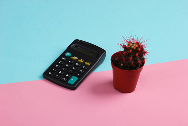 Kalkulator z kaktusem w garnku na różowym niebieskim tle pastelowym. Minimalizm - Zdjęcie, obraz