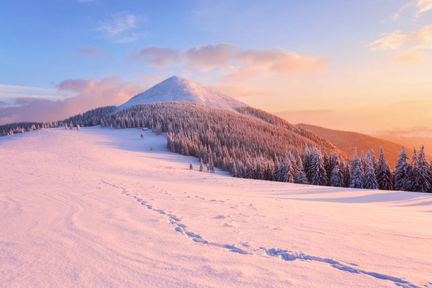 Fantastic sunrise illuminates the mountain. Cold winter morning. Amazing sky with clouds. Wallpaper background. Location place Carpathian, Ukraine, Europe. - Fotoğraf, Görsel