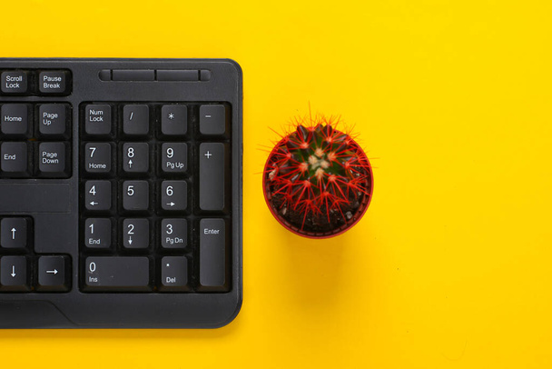 Pc keyboard with cactus in pot on yellow background. Working space. Top view - Photo, Image