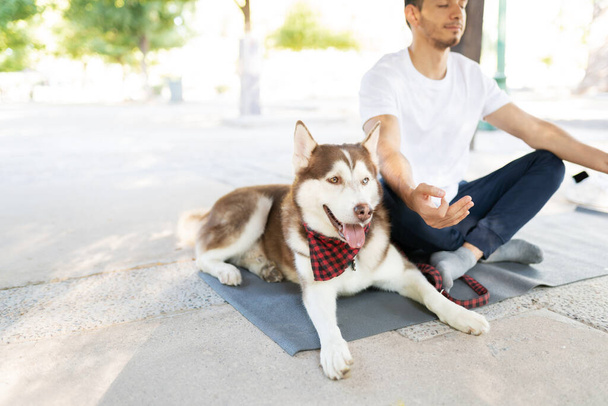 Felice cane huhsky che accompagna il suo proprietario maschile mentre fa yoga nel parco - Foto, immagini