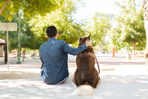 Πίσω όψη ενός αρσενικού ιδιοκτήτη σκύλου χαλαρώνοντας με το ένα χέρι γύρω από το χαριτωμένο husky σκυλί του και κάθεται σε ένα πάρκο  - Φωτογραφία, εικόνα