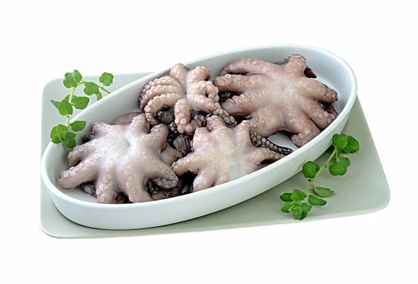 Fresh frozen octopus on white plate decorated with  oregano. Clipping path. - Photo, Image
