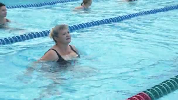 Mujeres mayores entrenando aqua gymnastic en piscina. - Metraje, vídeo