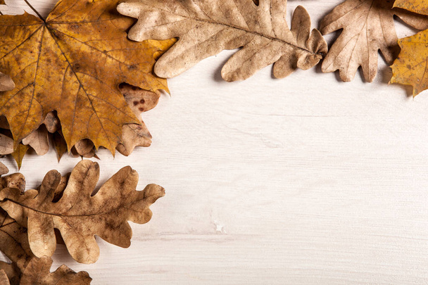 Laub von Herbsteiche und Ahornblättern auf einem hölzernen Hintergrund - Foto, Bild