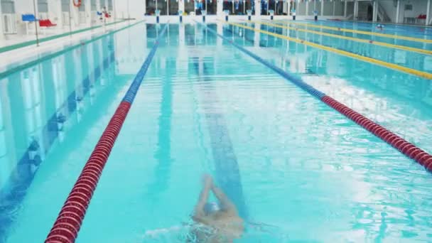 Nadador profesional que apenas hace ejercicio en la piscina cubierta nadando al otro lado de la pista. - Imágenes, Vídeo