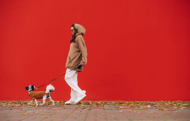 Femme élégante marche avec un petit chien en laisse dans la rue sur un fond de murs rouges. Propriétaire promenades avec un chien sur un fond de mur coloré. - Photo, image