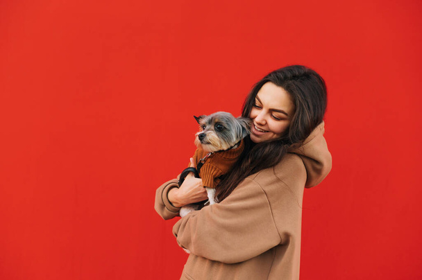 Ευτυχισμένη γυναίκα στέκεται σε ένα κόκκινο φόντο με ένα σκυλί στην αγκαλιά της και κοιτάζει το κατοικίδιο ζώο με ένα χαμόγελο στο πρόσωπό του. Θετικός ιδιοκτήτης με biewer terrier σε φόντο κόκκινο τοίχο. - Φωτογραφία, εικόνα