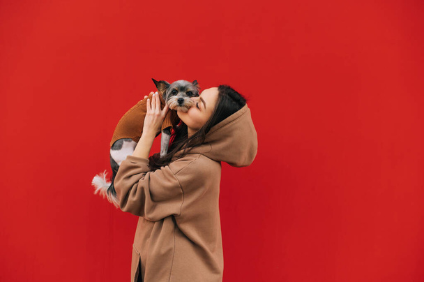 Красива жінка, що тримає гарного собаку-тер'єра на руках і цілує його, дивиться на камеру, ізольовану на червоному тлі. Пані стоїть з собакою на задньому плані червоної стіни.. - Фото, зображення