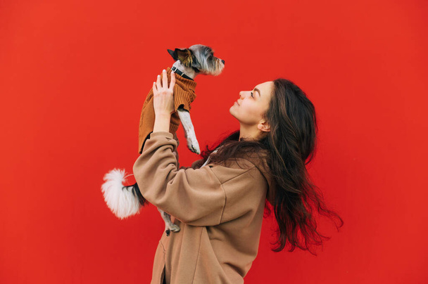 Woman in casual clothes isolated on red background with dog in hands, looking at pet, lifted up pork. Copy space - Photo, image