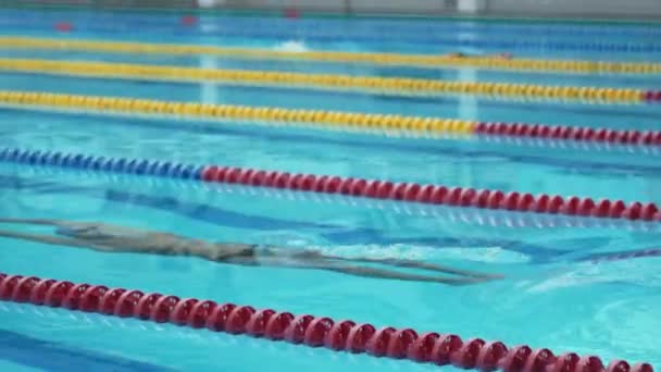 Profissional nadador strat natação na piscina - Filmagem, Vídeo