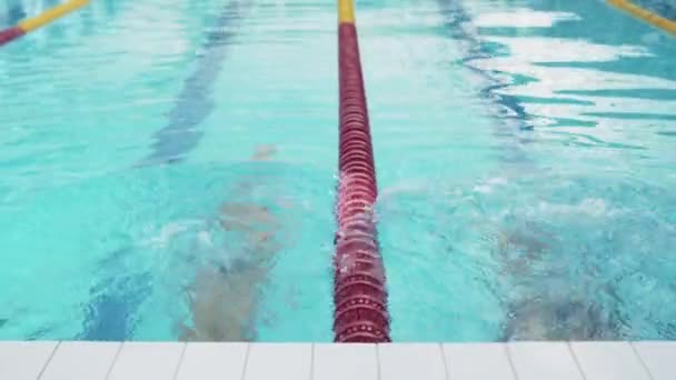 Profissional Nadadores mulher e homem começam a nadar na piscina - Filmagem, Vídeo