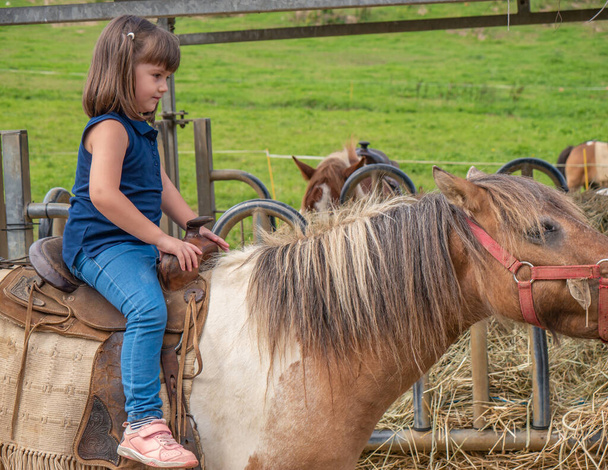 Girl dressed in blue with two pigtails riding a pony on a farm in the middle of the field - Photo, Image