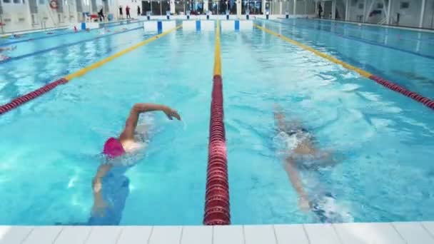 Profissional Nadadores mulher e homem terminou de nadar e iniciar conversas - Filmagem, Vídeo
