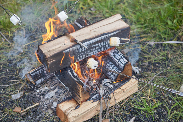 Marshmallows über offenem Lagerfeuer braten - Foto, Bild