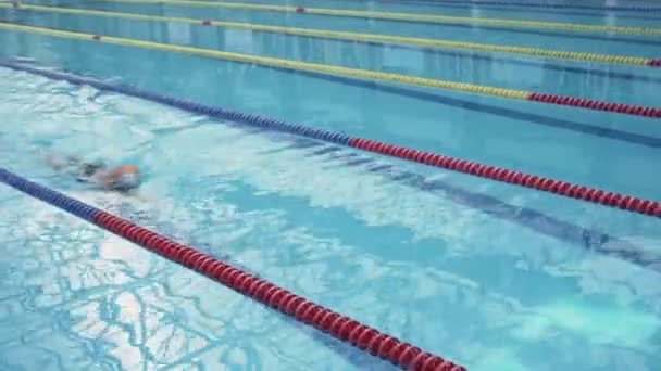 Yüzme havuzunda yüzme sporcusu yakışıklı bir sporcu. - Video, Çekim
