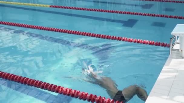Knappe atleet zwemmer sporter training in het zwembad - Video