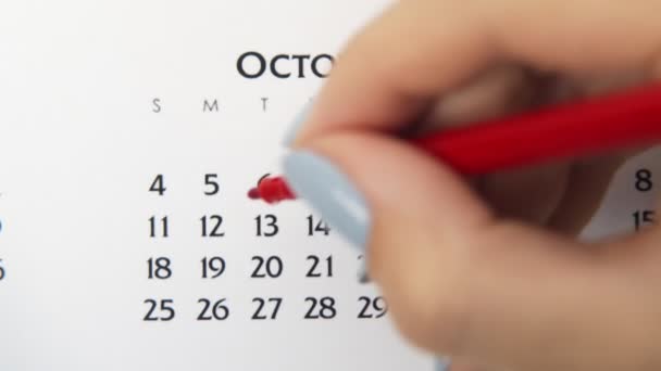 Samice kruh den v kalendářním datu s červenou značkou. Business Basics Wall Calendar Planner and Organizer. 13. listopadu - Záběry, video