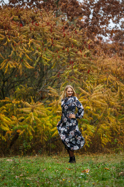 Girl in a dress in the autumn forest - Foto, Imagen