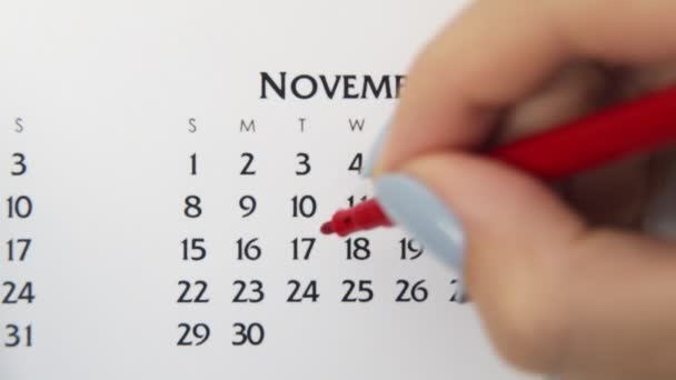 Día de círculo de la mano femenina en la fecha del calendario con un marcador rojo. Conceptos básicos de negocio Wall Calendar Planner and Organizer. 17 de noviembre - Metraje, vídeo