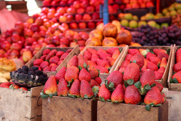 Центральный рынок органических продуктов с традиционными сельскими производителями в Сукре белый город в Боливии - Фото, изображение