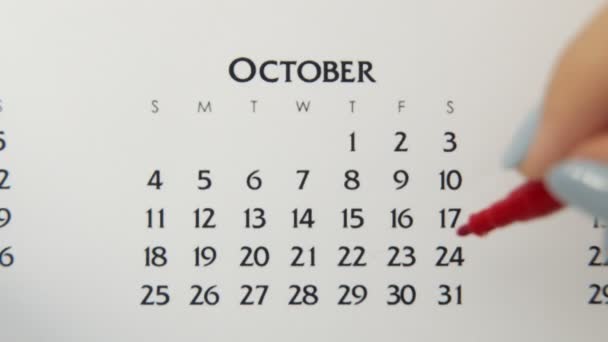 Día de círculo de la mano femenina en la fecha del calendario con un marcador rojo. Conceptos básicos de negocio Wall Calendar Planner and Organizer. 24 de octubre - Metraje, vídeo