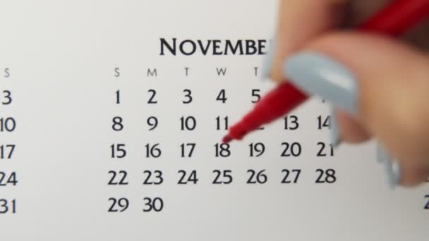赤いマーカーでカレンダー日付の女性の手の円の日。ビジネスの基本壁カレンダープランナーと主催者。11月25日 - 映像、動画