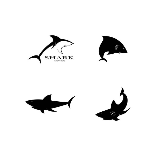 Shark Logo vector Plantilla ilustración diseño - Vector, Imagen