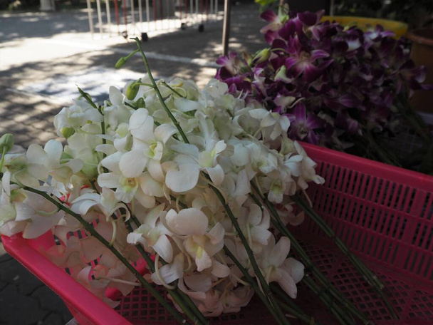 Increíbles flores en el jardín del templo - Foto, imagen