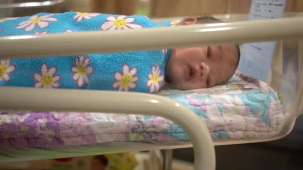 Schattige pasgeboren baby jongen in een wieg in een ziekenhuis - Video