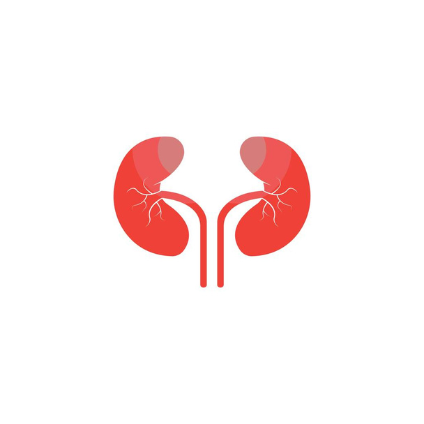 kidney vector illusrtation design logo templat - Vector, Image