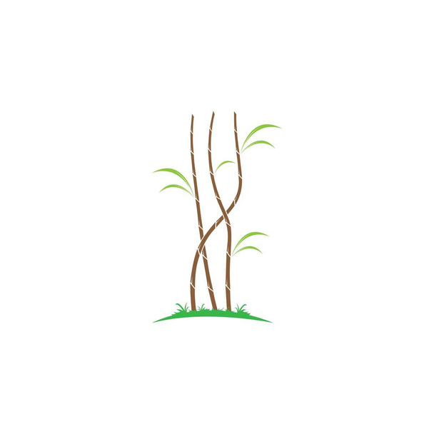 Şeker kamışı bitki logo vektör çizimi tasarımı - Vektör, Görsel