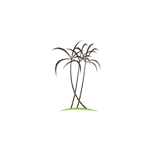 Caña de azúcar planta logo vector ilustración diseño - Vector, imagen