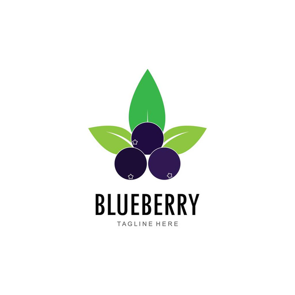 Конструкция векторного шаблона логотипа Blueberry - Вектор,изображение