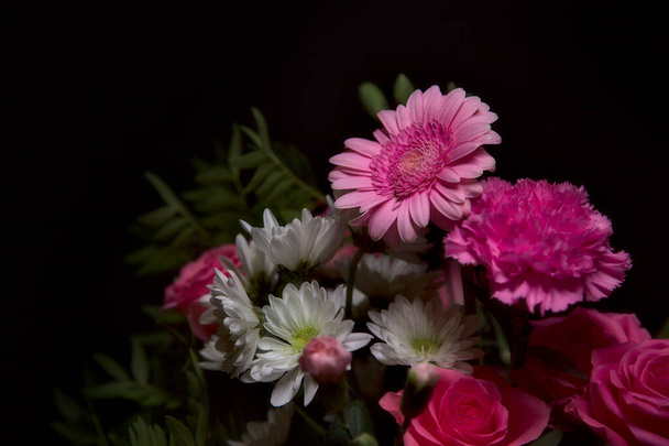 ピンクのカーネーションの花束と黒の背景に白い菊とピンクのガーベラとバラ - 写真・画像