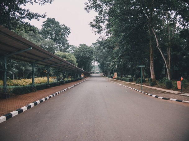 Empty road looks oldies - Foto, afbeelding