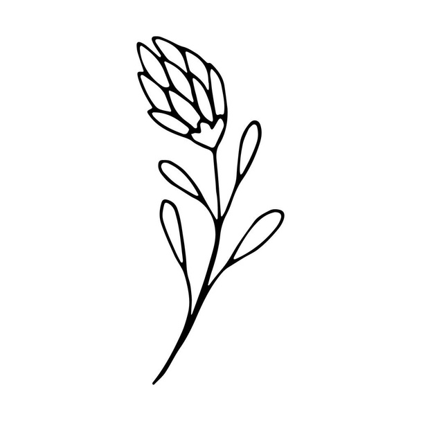 Floral hand drawn doodle icon for social media story. Ink drawn branch - Vektör, Görsel