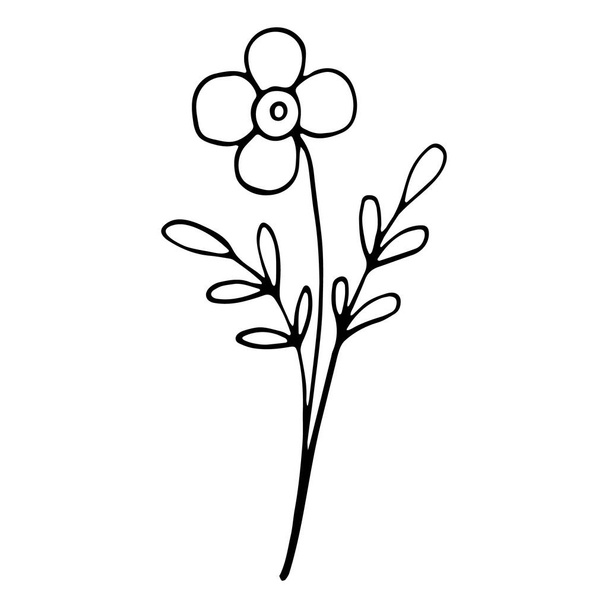 floral flower hand drawn doodle icon for social media story - Vector, afbeelding